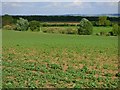 Farmland, Little Milton