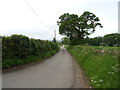 Track to Barn Farm and Burton Mere Wetlands (RSPB)