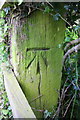 SK7724 : Benchmark on wooden gatepost in roadside hedge east of Wycomb by Roger Templeman