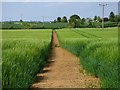 Farmland, Thorpe Mandeville