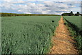 Path towards Goosey Lodge