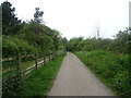 Looking north west on the Wirral Way