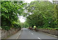 Horses on Montgomery Hill (B5140)