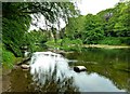 River Eden View