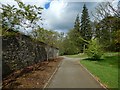 Beside the walled garden at Balloch Park