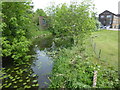 A branch off the Grand Union Canal