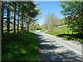 B4391 above Llangynog