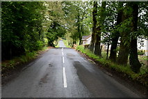 H4862 : Corkhill Road by Kenneth  Allen