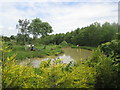 Duck pond at Wayside Farm, High Moor