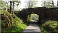 Railway bridge, Carronhill