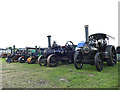 SJ7959 : Row of steam tractors at the Smallwood Rally by Stephen Craven