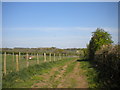 Bridleway towards Locko Park east of Chaddesden (1)