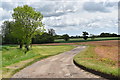 TM2457 : Driveway to Home Farm, Hoo by Simon Mortimer