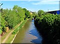 Oxford Canal from Langford Locks Bridge