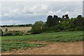 TM3152 : Potato field near Broom Hill, Eyke by Simon Mortimer