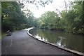 Path in Endcliffe Park