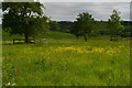 Field at Manor Farm