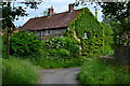 Leafy house at Cole