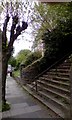 Steps from Allendale Road to Houndiscombe Road, Mutley