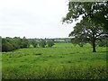 Grazing off the A51, Blackbrook