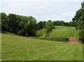 Rolling countryside near Grove Farm