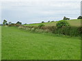 Grassland and hedgerow, Cobscot