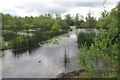 Felmersham Gravel Pits (nature reserve)