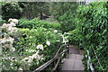 Steps to the footpath over a stream