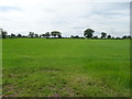 Grassland off Bletchley Road