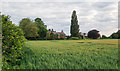 Wheat field on west side of Hodsow Road