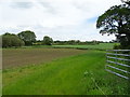 Crop field towards the River Duckow