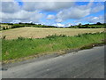 Harvested hay field West of the Carrickrovaddy Road