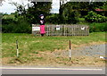 Colourful character at the edge of an old sawpit, Oldbury-on-Severn