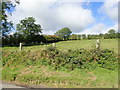 Pasture land on the NNW side of Carrickrovaddy Road