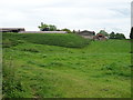 Grazing, Shortwood Farm