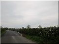 Corner  on  a  country  road  recently  widened  and  kerbed