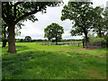 SJ6347 : Farmland off French Lane by David Dixon