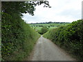 SJ3306 : On the lane leading towards Grove Farm house near Aston Piggott by Jeremy Bolwell