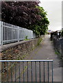 Footpath towards Pant Street, Aberbargoed