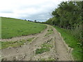 Rutted farm track