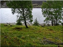 NN6081 : Loch Ericht by Richard Webb