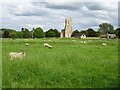 SP2833 : Long Compton church by Philip Halling