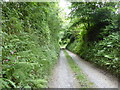 Part of the farm access drive at Beechfield