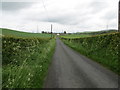 NS8535 : Hedge-lined minor road approaching Easter Tofts by Peter Wood