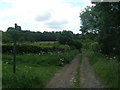 Footpath towards Simon Wood