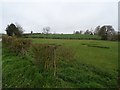 New Orchard and Lower Rye, Stoke Lacy