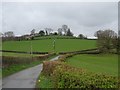 Farmland, Little Cowarne