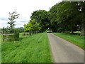 Tree-lined road