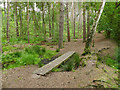 Boardwalk across a wet patch