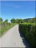 SJ0335 : Minor road through Cwm Pennant by Richard Law